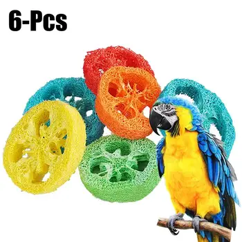 6PCS Папагал дъвчене играчка папагал птица ухапвания люлка Luffa филийки форма птица дъвчете играчки папагал птица клетка играчки птици играчки 2021